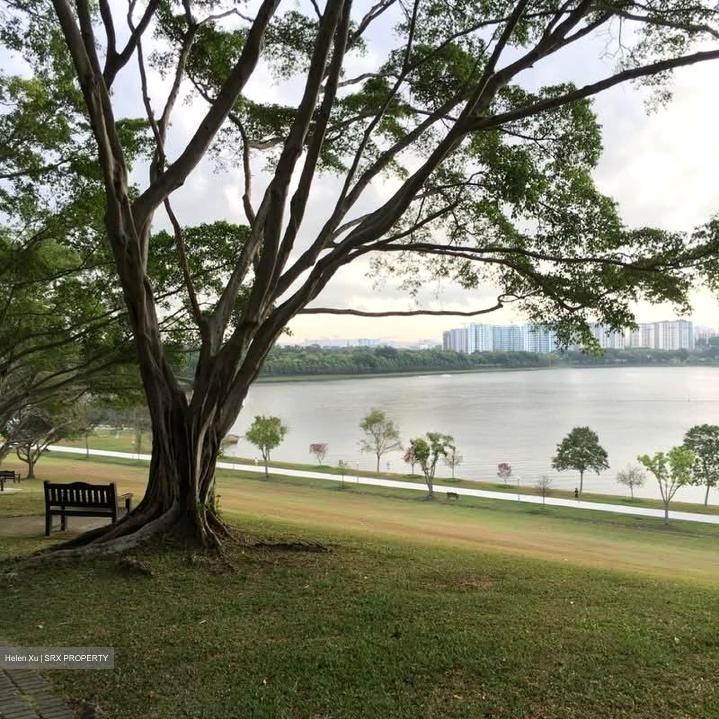 Archipelago (D16), Condominium #574992901